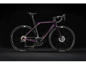 LAPIERRE Xelius SL 5.0 Di2 - L/52 (180-190cm)