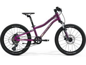 MERIDA Matts J.20 Purple (Black/Champagne)