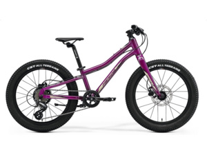 MERIDA Matts J.20+ Purple (Black/Champagne)