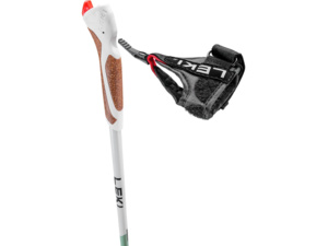 Nordic walking hole LEKI Passion Smokegreen-White-Dark Anthracite