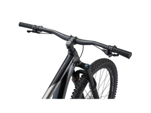 GIANT Reign 2 Black Carbon - L