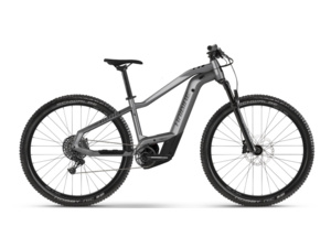 HAIBIKE AllTrack 9 29 Matt Gloss Silver Blk