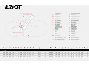 GHOST E-Riot CF Pro