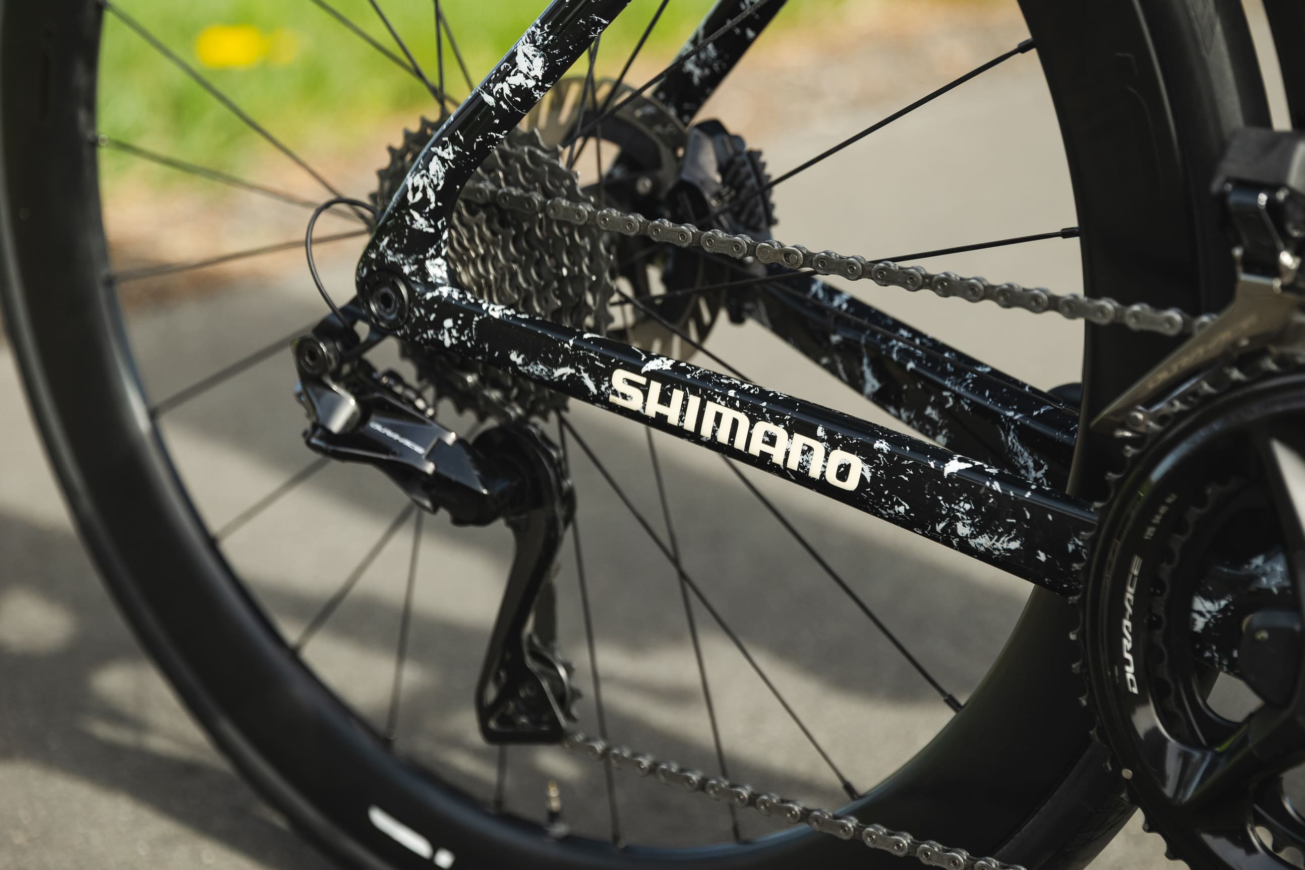 Lapierre Pavla Bittnera